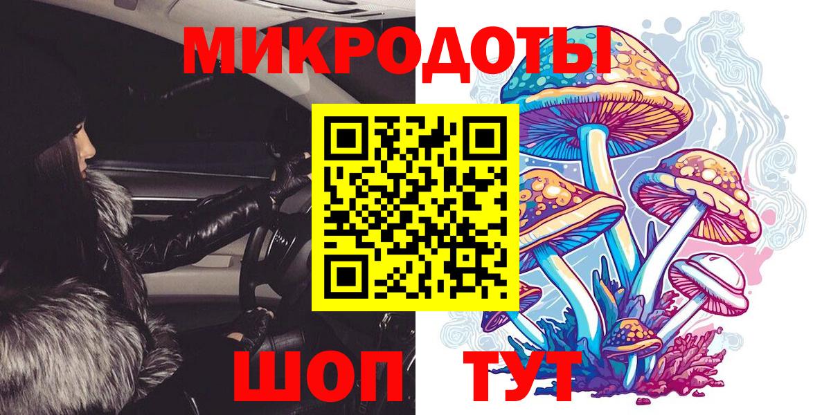 Галлюциногенные грибы прущие грибы  купить  цена  Камышлов  Псилоцибиновые грибы Magic Shrooms  Вход с VPN 