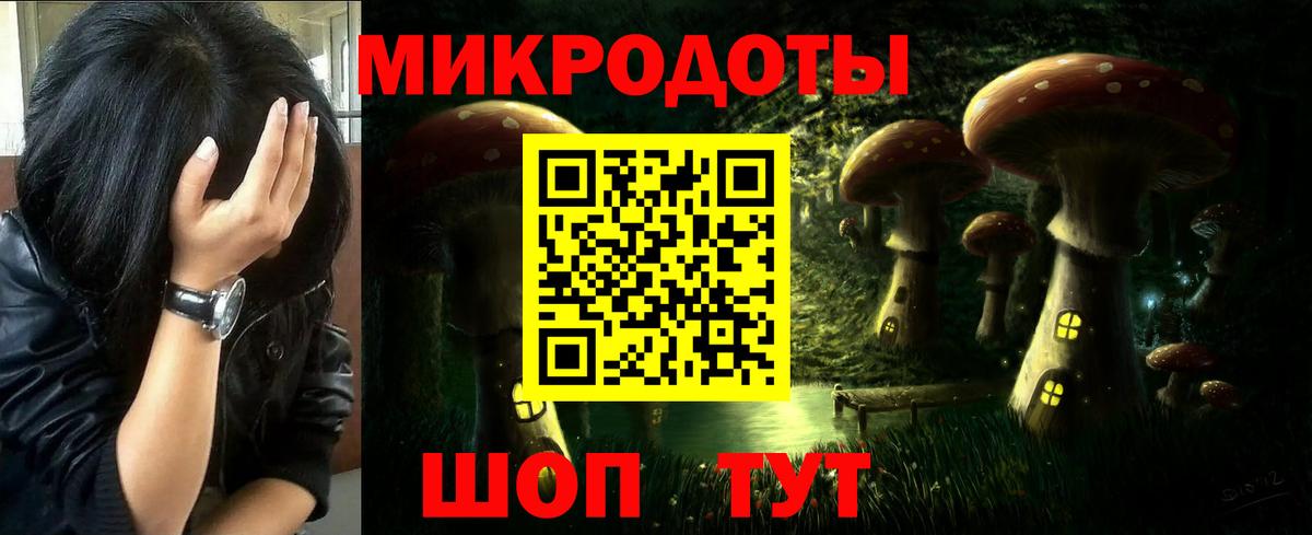 Галлюциногенные грибы Psilocybe Камышлов